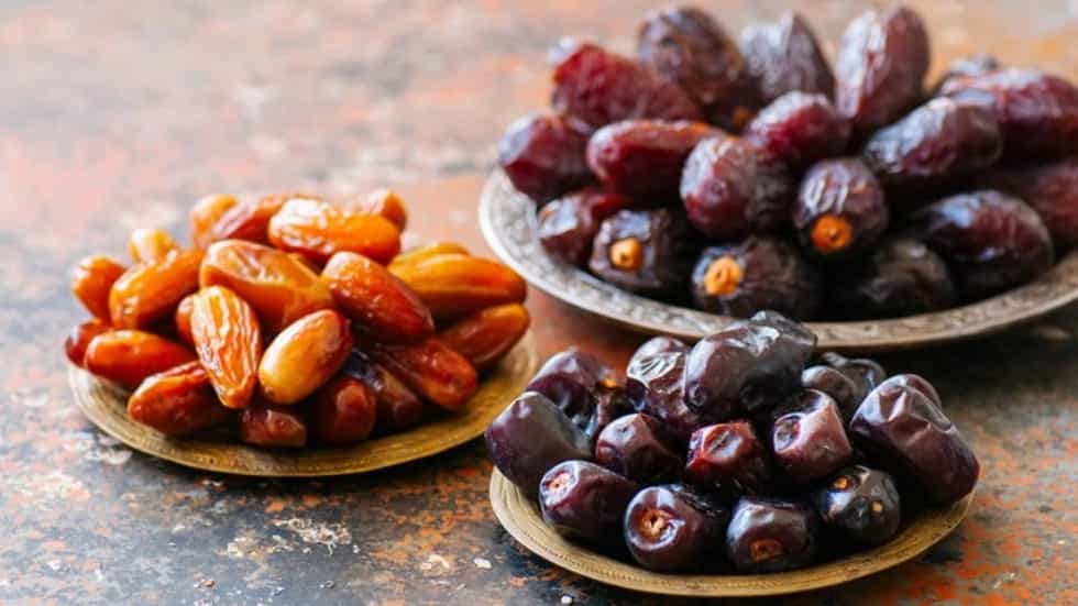 معرفی شرکت شهد نخل خشت الماس خشت صالحی