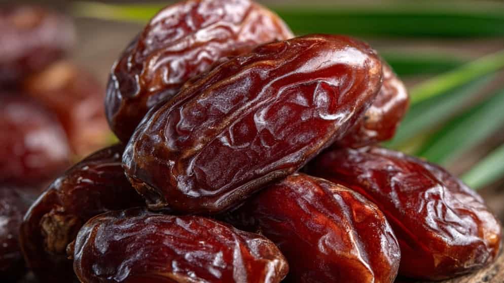 خرید خرما درجه یک از الماس خشت صالحی در فارس