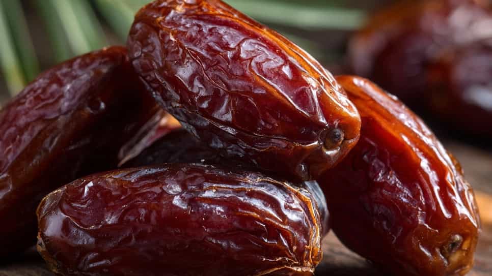 فروش خرما در فارس